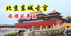 骚货,爽不爽在线观看中国北京-东城古宫旅游风景区